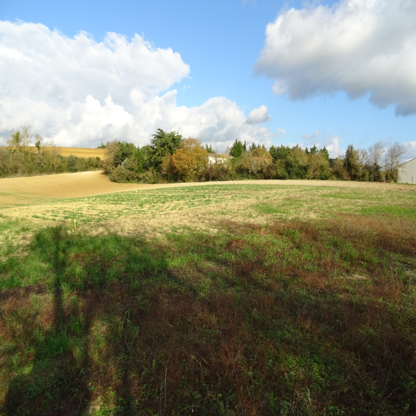 Offres de vente Terrain Saint-Papoul 11400