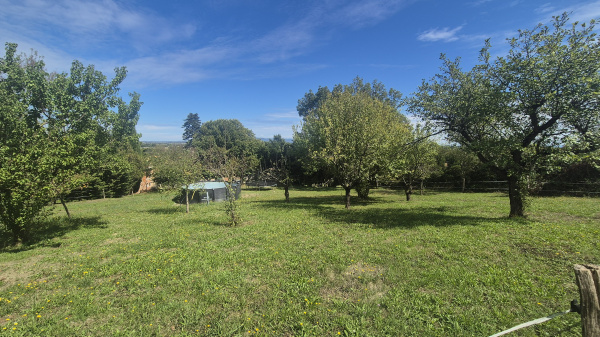 Offres de vente Ferme Labastide-d'Anjou 11320